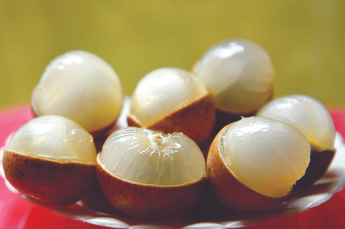 Thanh Nhãn Bạc Liêu có ưu điểm trái to, hạt nhỏ, cơm dày, ráo nước, vị ngọt thanh. Ảnh: Thanh Nhã Thanh nhãn Bạc Liêu ảnh 2