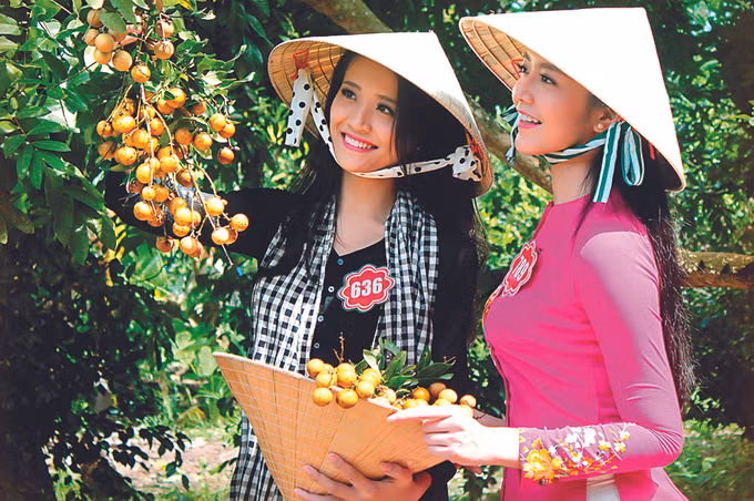 Thanh nhãn Bạc Liêu ảnh 4