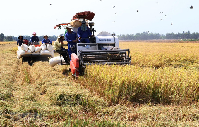 Đồng Tháp đưa máy gặt đập liên hợp vào thu hoạch lúa. Ảnh: Nguyễn Văn Trí - TTXVN Phê duyệt Chương trình khuyến công quốc gia giai đoạn 2021-2025 ảnh 1