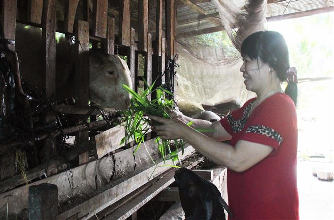 Dành nguồn lực đầu tư, phát triển kinh tế vùng đồng bào dân tộc Khmer ảnh 1