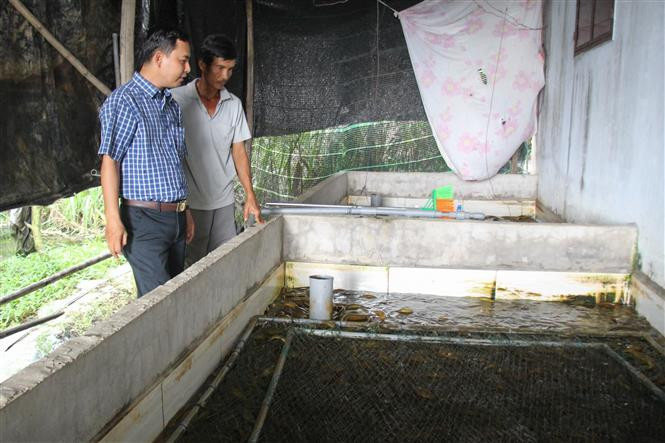 Dành nguồn lực đầu tư, phát triển kinh tế vùng đồng bào dân tộc Khmer ảnh 2