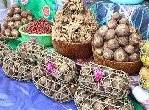Khoai sọ Thuận Châu là một trong số 12 sản phẩm được tỉnh Sơn La xây dựng và phát triển thương hiệu. Ảnh: sonla.gov.vn Xây dựng thương hiệu cho các sản phẩm nông sản chủ lực của Sơn La ảnh 2