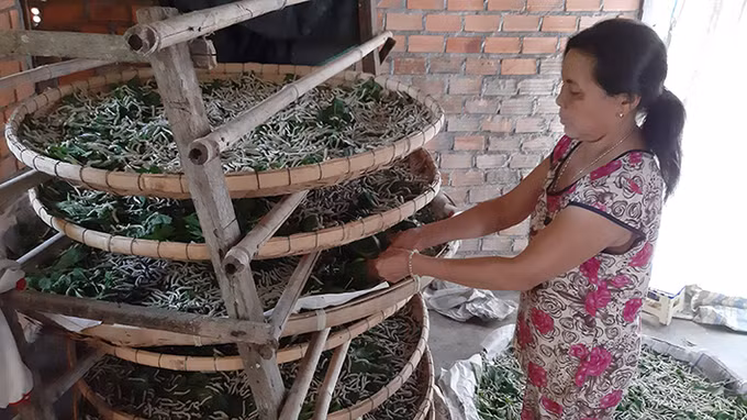 Krông Nô phát triển nghề trồng dâu, nuôi tằm ảnh 6