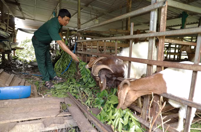 Ưu tiên nguồn lực thực hiện ba chương trình mục tiêu quốc gia tại Đắk Nông ảnh 2