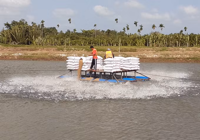 Kỳ tích trên những vùng quê Trà Vinh ảnh 6