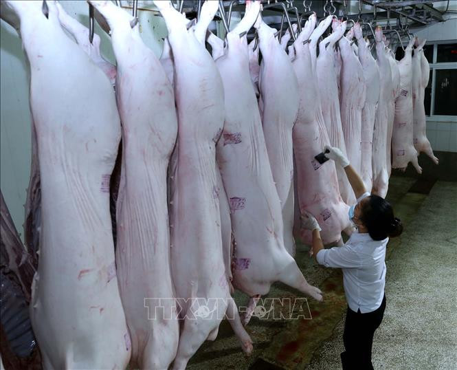 Hà Nội duy trì và phát triển chuỗi thực phẩm an toàn ảnh 11