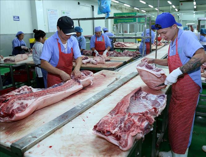 Hà Nội duy trì và phát triển chuỗi thực phẩm an toàn ảnh 13