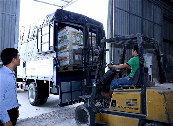 Hà Nội duy trì và phát triển chuỗi thực phẩm an toàn ảnh 5