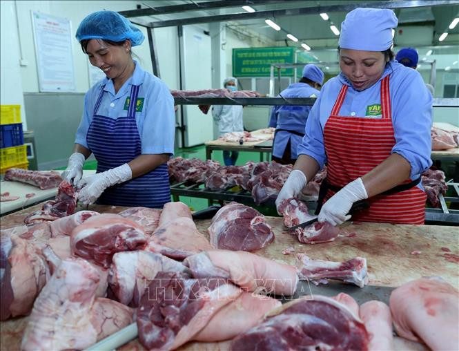 Hà Nội duy trì và phát triển chuỗi thực phẩm an toàn ảnh 15