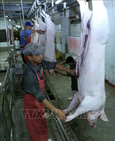 Hà Nội duy trì và phát triển chuỗi thực phẩm an toàn ảnh 10