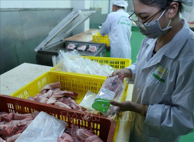 Hà Nội duy trì và phát triển chuỗi thực phẩm an toàn ảnh 14