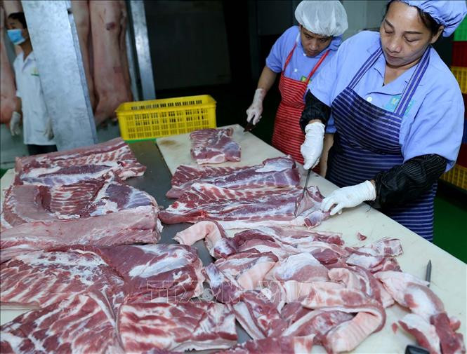 Hà Nội duy trì và phát triển chuỗi thực phẩm an toàn ảnh 1