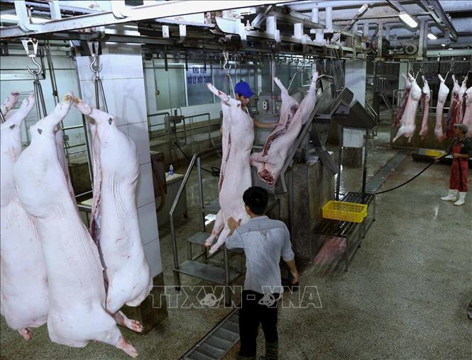 Hà Nội duy trì và phát triển chuỗi thực phẩm an toàn ảnh 9