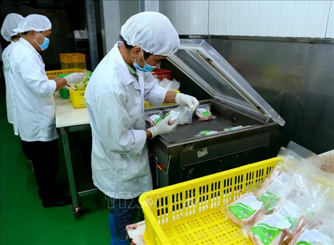 Hà Nội duy trì và phát triển chuỗi thực phẩm an toàn ảnh 2