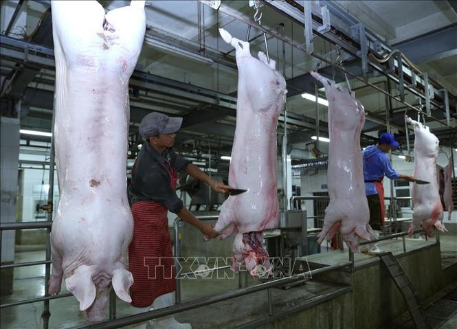 Hà Nội duy trì và phát triển chuỗi thực phẩm an toàn ảnh 12