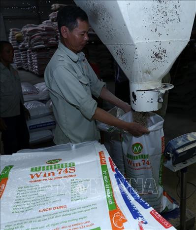 Hà Nội duy trì và phát triển chuỗi thực phẩm an toàn ảnh 8