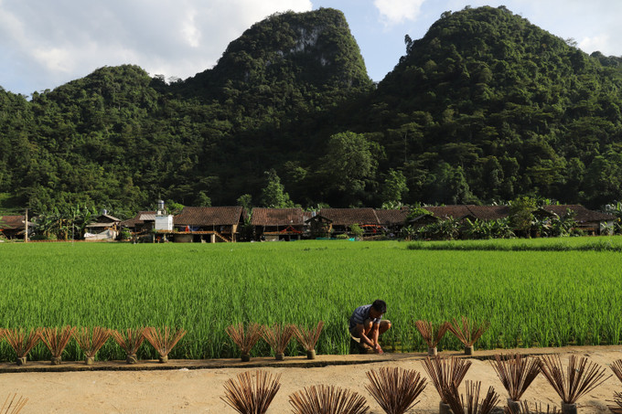 Làng nghề làm hương Phia Thắp của người Nùng An ở xã Phúc Sen, huyện Quảng Hòa (Cao Bằng) nổi tiếng hàng trăm năm nay. Ảnh: An Thành Đạt Nghề làm hương truyền thống của Người Nùng An ảnh 2