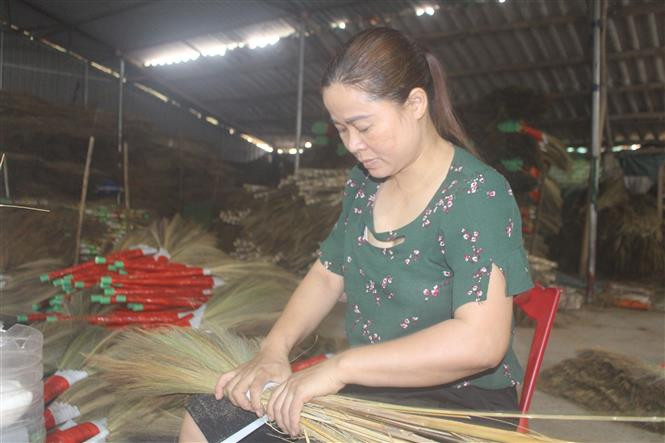 Nghề làm chổi đót rất phù hợp với điều kiện kinh tế gia đình, số vốn bỏ ra ít, nguồn nguyên liệu rẻ, sẵn có, lao động dồi dào ngay tại địa phương và không đòi hỏi kỹ thuật cao. Ảnh: Hoa Mai - TTXVN Chị Hoàng Thị Hưng làm giàu từ sản xuất chổi đót ảnh 2