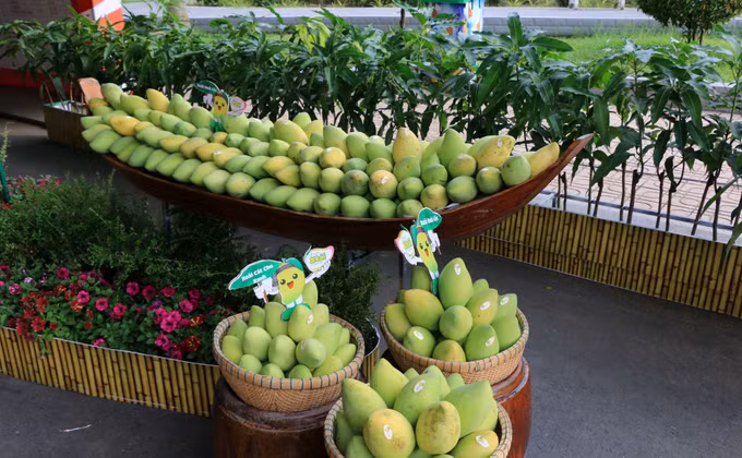 Để du lịch nông nghiệp, nông thôn “níu chân” du khách (Bài 1) ảnh 3