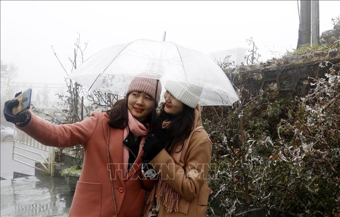 Khách du lịch tranh thủ lưu lại những khoảnh khắc hiếm có cùng băng tuyết. Ảnh: Quốc Khánh – TTXVN Lào Cai: Tuyết rơi dày đặc tại các xã vùng cao ảnh 6