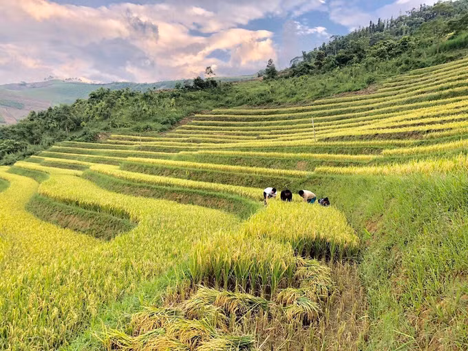 Nhân rộng mô hình “Bản người Mông tự quản” ở vùng cao Yên Bái ảnh 2