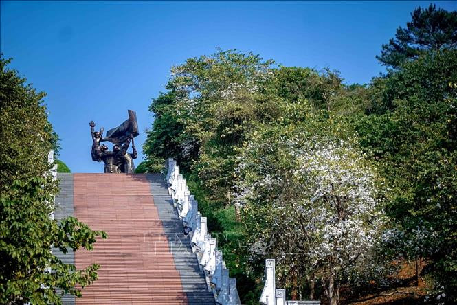 Hoa ban bung nở trên lối lên Tượng đài Chiến thắng Điện Biên Phủ. Ảnh: Xuân Tư – TTXVN Hoa ban bung nở khắp phố núi Điện Biên ảnh 11