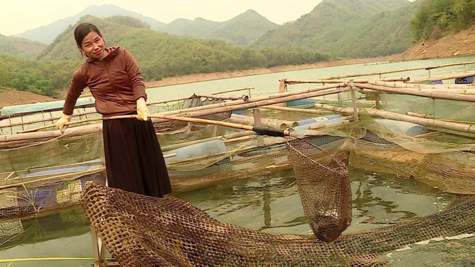 Người dân nuôi cá trên lòng hồ thủy điện Trung Sơn, huyện Quan Hóa. Ảnh: Nguyễn Nam Nuôi cá lồng giúp người dân xứ Thanh thoát nghèo ảnh 3
