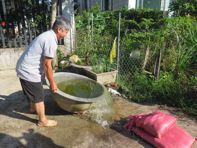 Sốt xuất huyết - biểu hiện và cách phòng bệnh ảnh 1