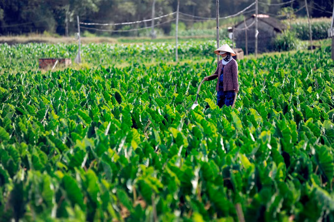 Tạo động lực để đồng bào Khmer vươn lên ảnh 5