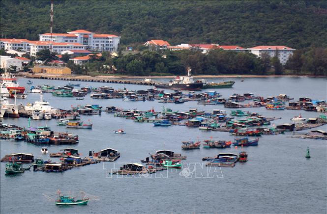 Nuôi cá lồng bè trên vùng biển An Thới, thành phố Phú Quốc (Kiên Giang). Ảnh: Lê Huy Hải – TTXVN Kiên Giang: Bàn giải pháp khai thác tiềm năng lợi thế nghề nuôi biển ảnh 2