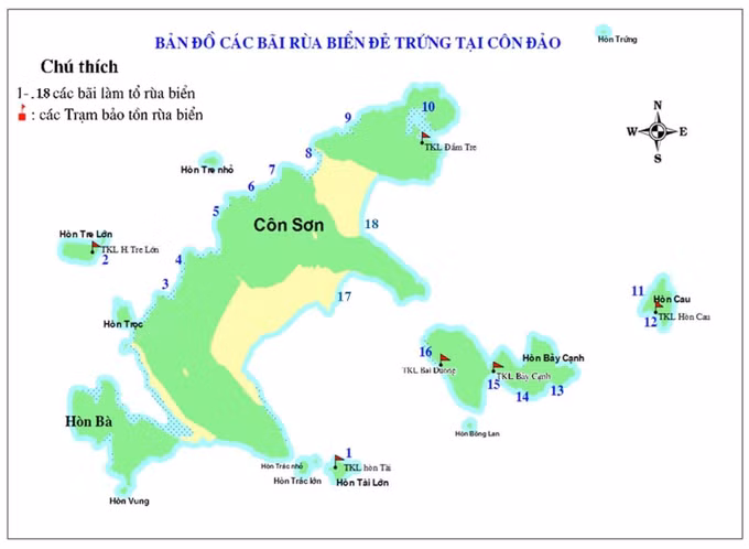 Vườn Quốc gia Côn Đảo vào mùa sinh sản rùa biển ảnh 1
