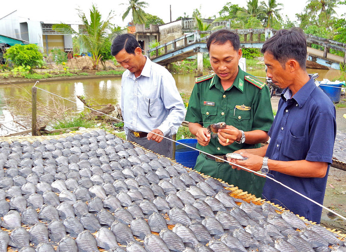 Cán bộ, chiến sĩ Đồn Biên phòng Sông Đốc động viên các hộ gia đình dân tộc Khmer tại ấp Cơi 5B, xã Khánh Bình Tây, huyện Trần Văn Thời phát triển kinh tế. Ảnh: Huỳnh Thế Anh Xây chắc “thế trận lòng dân” nơi cực Nam Tổ quốc ảnh 4