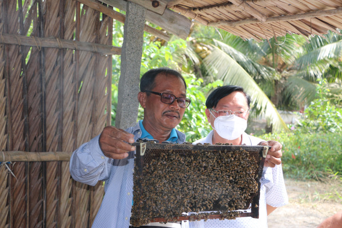 Tại thị trấn Ngan Dừa, huyện Hồng Dân (Bạc Liêu), mô hình nuôi ong lấy mật tuy chỉ mới được người dân học tập kinh nghiệm và áp dụng nhưng đang hứa hẹn nhiều triển vọng phát triển. Ảnh: Tuấn Kiệt Nghề nuôi ong lấy mật ở Bạc Liêu ảnh 2