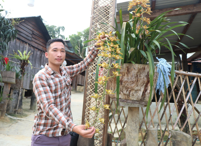Du khách tham quan địa lan tại Vi Rơ Ngheo. Ảnh: Cao Nguyên – TTXVN Vi Rơ Ngheo, làng hoa lan giữa đại ngàn Tây Nguyên ảnh 12