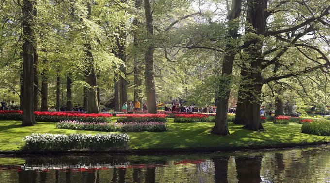 Đắm mình trong vườn hoa Tuylip nổi tiếng nhất thế giới tại Hà Lan ảnh 17