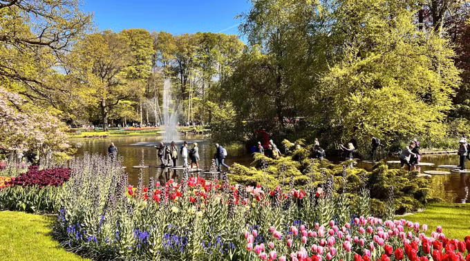 Đắm mình trong vườn hoa Tuylip nổi tiếng nhất thế giới tại Hà Lan ảnh 14