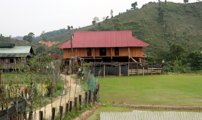 Những căn nhà được người dân xây dựng phục vụ cho nhu cầu du lịch homestay của du khách. Ảnh: Cao Nguyên – TTXVN Vi Rơ Ngheo, làng hoa lan giữa đại ngàn Tây Nguyên ảnh 2