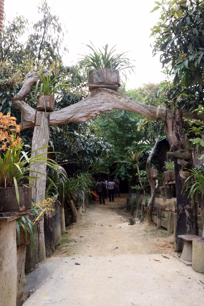 Vi Rơ Ngheo, làng hoa lan giữa đại ngàn Tây Nguyên ảnh 11