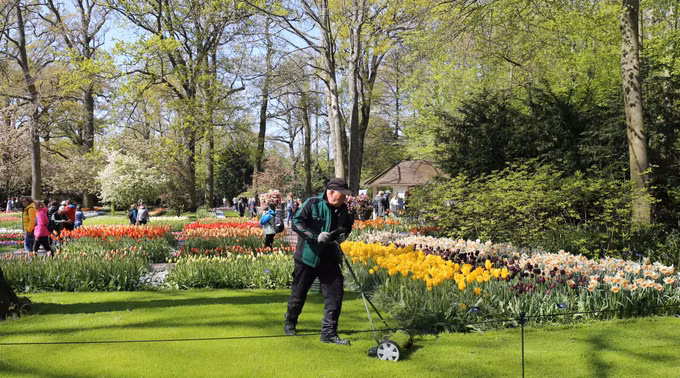 Đắm mình trong vườn hoa Tuylip nổi tiếng nhất thế giới tại Hà Lan ảnh 18