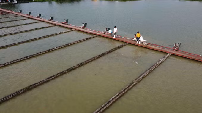 Một số biện pháp chống rét cho cá ảnh 2