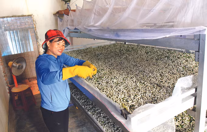 Hiệu quả mô hình liên kết sản xuất của phụ nữ ở Lâm Đồng ảnh 2