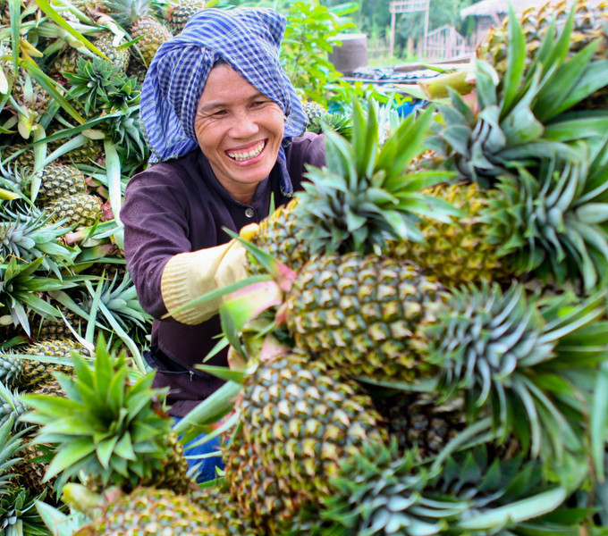 Khám phá Làng du lịch cộng đồng khóm Cầu Đúc ảnh 3