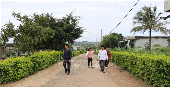 Mô hình hàng rào xanh, con đường hoa của "Làng phụ nữ kiểu mẫu" tại làng Yun do chị Đinh Thị Em quản lý được nhiều địa phương đến tham quan, học hỏi, nhân rộng. Ảnh: Hồng Điệp – TTXVN Đinh Thị Em - Chi hội trưởng phụ nữ tiên phong, gương mẫu ảnh 1
