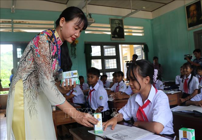Những ly sữa được trao đến tay học sinh Trường Phổ thông dân tộc nội trú huyện Đồng Xuân, tỉnh Phú Yên. Ảnh: Phạm Cường-TTXVN Quỹ sữa vươn cao Việt Nam đến với trẻ em khó khăn Phú Yên ảnh 2