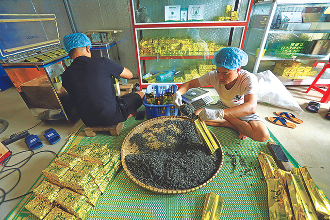 Hợp tác xã chè Sơn Trà đang tập trung vào phân khúc chè chất lượng cao, trong đó nhiều sản phẩm đạt tiêu chuẩn OCOP 3 sao, 4 sao. Ảnh: An Thành Đạt Na Hang xây dựng chuỗi liên kết tiêu thụ nông sản ảnh 6
