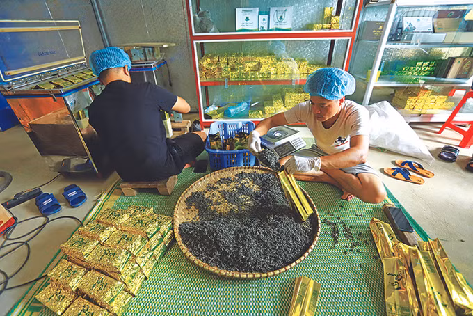Na Hang xây dựng chuỗi liên kết tiêu thụ nông sản ảnh 6