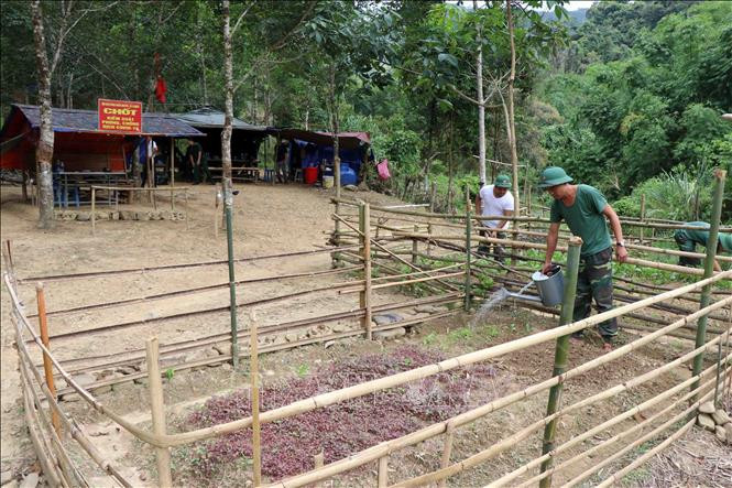 Cán bộ, chiến sĩ Chốt kiểm soát dịch bệnh số 1 (Đồn Biên phòng Hương Nguyên) trồng thêm rau xanh để chủ động nguồn thực phẩm tại chỗ. Ảnh: Đỗ Trưởng-TTXVN Dịch COVID-19: Theo chân người lính chống dịch trên dọc tuyến biên giới Thừa Thiên-Huế ảnh 3