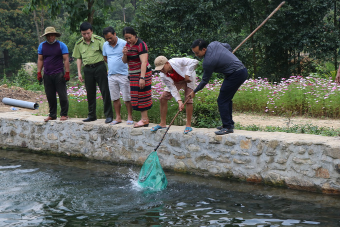 Anh Hồ Thanh Phương có kế hoạch phát triển một nông trại nghỉ dưỡng để du khách có thể câu cá thư giãn, thưởng thức ẩm thực cá tầm, tự chế biến các món ăn từ cá xứ lạnh. Ảnh: Đỗ Trưởng Hướng mới trong phát triển kinh tế ở huyện A Lưới ảnh 2