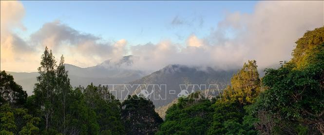 Khu dự trữ sinh quyển Cao nguyên Kon Hà Nừng - món quà vô giá của thiên nhiên ảnh 26