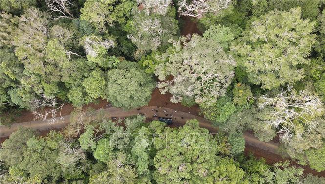 Khu dự trữ sinh quyển Cao nguyên Kon Hà Nừng - món quà vô giá của thiên nhiên ảnh 29